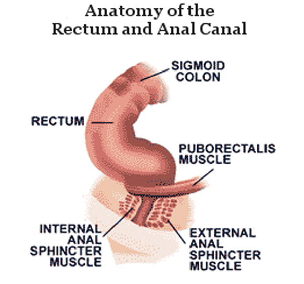 Τι είναι η Ακράτεια Κοπράνων; 17 Τι είναι η Ακράτεια Κοπράνων;