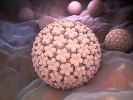 Τι είναι ο ιός HPV & πώς συνδέεται με τα αφροδίσια κονδυλώματα; 1 Τι είναι ο ιός HPV & πώς συνδέεται με τα αφροδίσια κονδυλώματα;