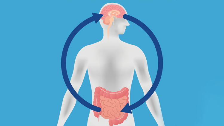 H υγεία του εντέρου, δείκτης για την κατάθλιψη 14 H υγεία του εντέρου, δείκτης για την κατάθλιψη