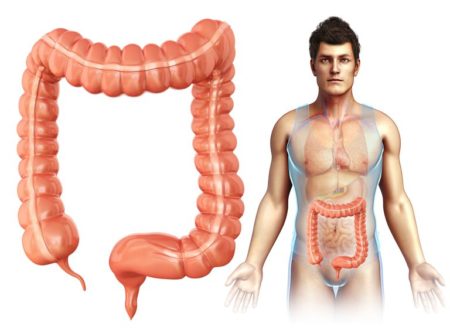 Αιτίες Δυσκοιλιότητας 1 Αιτίες Δυσκοιλιότητας