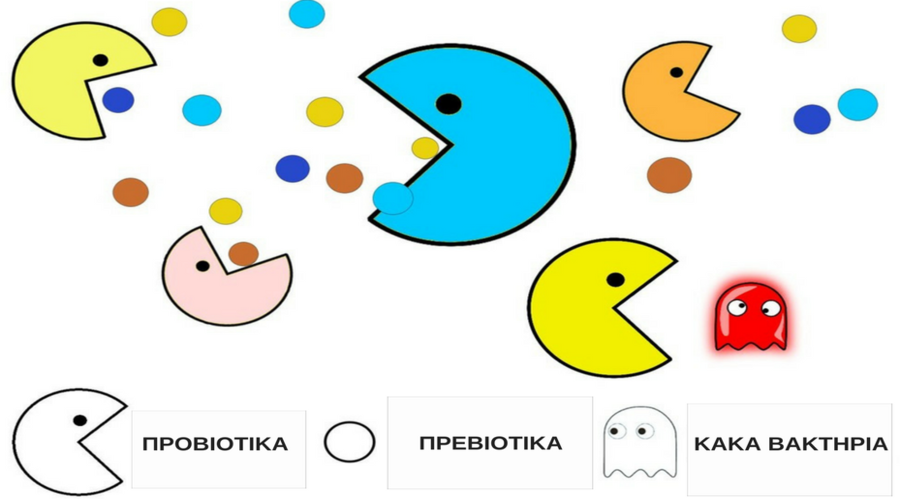 Προβιοτικά και Πρεβιοτικά: Τι είναι και πώς ωφελούν την υγεία μας; 14 Προβιοτικά και Πρεβιοτικά: Τι είναι και πώς ωφελούν την υγεία μας;