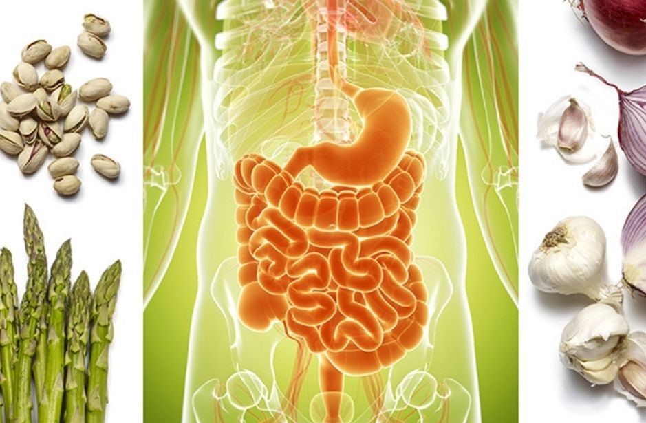 Dietary fiber and the gut microbiome: the role of prebiotics, probiotics and metabiotic