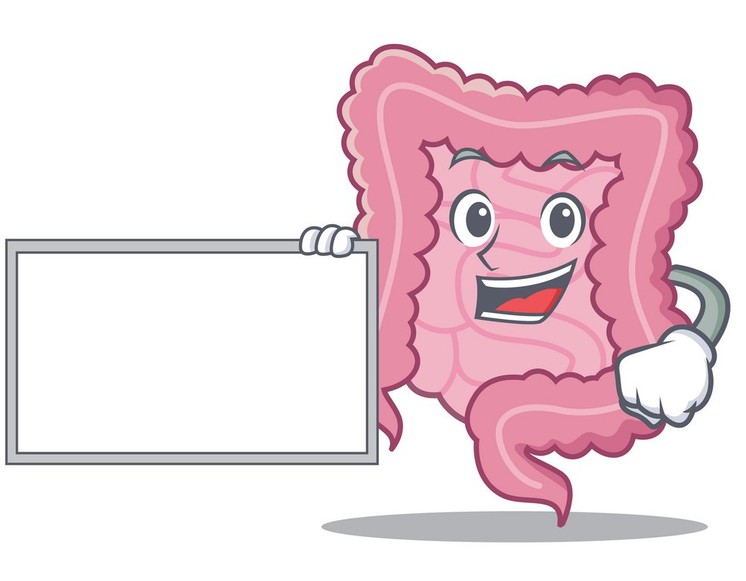 Το έντερο ως 2ος εγκέφαλος και τα μηνύματα που μας στέλνει: Εκείνο «μιλάει», εμείς όμως το «ακούμε»; Δείτε τι πρέπει να έχετε υπόψη σας για μια υγιή εντερική λειτουργία και καλή διάθεση! 14 Το έντερο ως 2ος εγκέφαλος και τα μηνύματα που μας στέλνει: Εκείνο «μιλάει», εμείς όμως το «ακούμε»; Δείτε τι πρέπει να έχετε υπόψη σας για μια υγιή εντερική λειτουργία και καλή διάθεση!